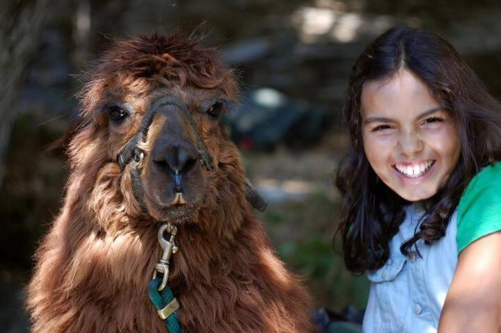 Monte Frio Alpacas Villa Nariz Luaran gambar